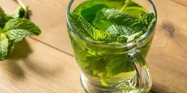 تصویر 4 از قیمت عرق گیاهی نعناع + خرید باور نکردنی